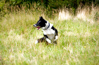 PIP MSP0004004