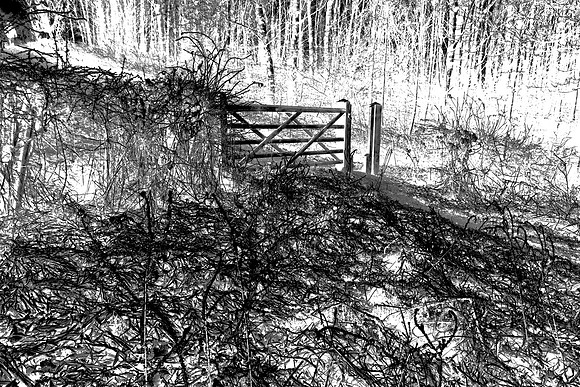FIVE BAR GATE MSP0002298