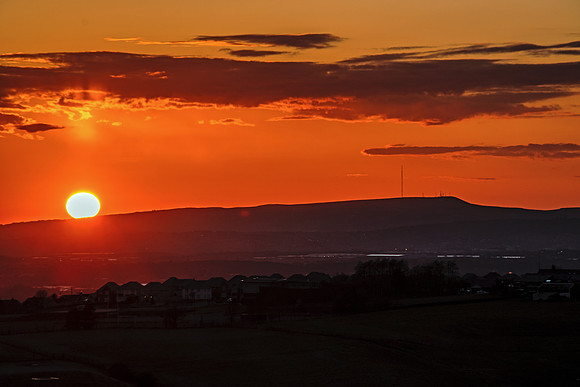 SUNSET ON WINTER HILL MSP010004