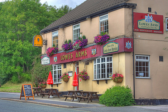 LOWES ARMS - DENTON MSP0003392