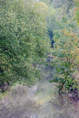 AUTUMN REFLECTIONS MSP0006993