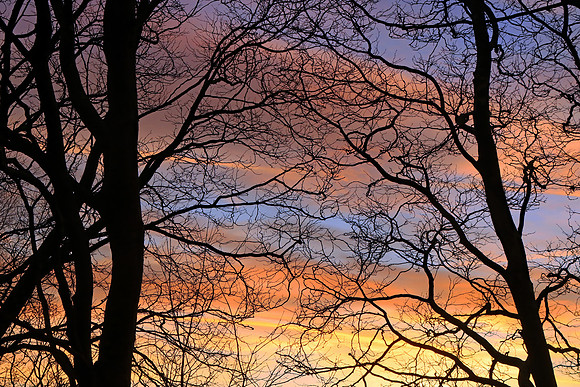 GHOSTS OF WINTER MSP010064