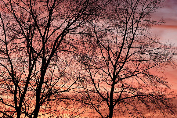 GHOSTS OF WINTER MSP010075