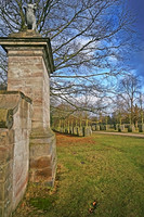 THE LIONS HEAD MSP0000545