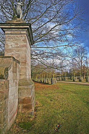 THE LIONS HEAD MSP0000545