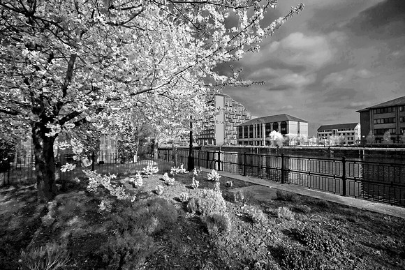 MANCHESTER SHIP CANAL SALFORD QUAYS MONO MSP0002901