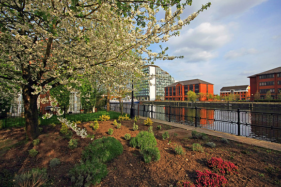 MANCHESTER SHIP CANAL SALFORD QUAYS MSP0002900