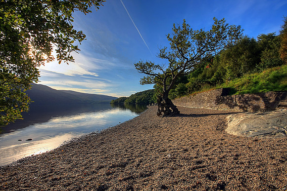 LOCH LOMOND MSP0002478