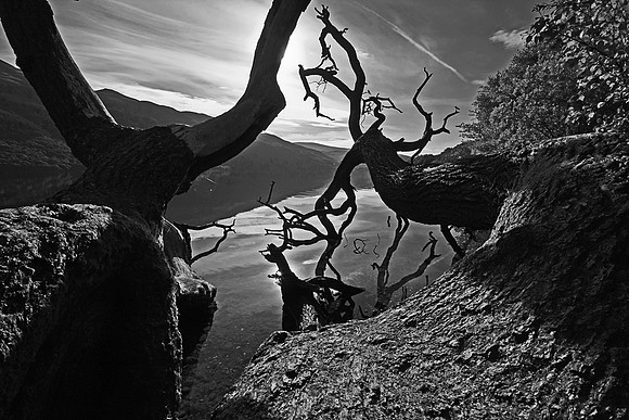 LOCH LOMOND MONO MSP0002504