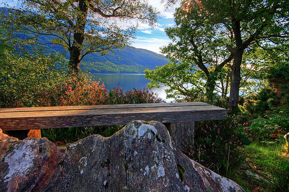 A SEAT ON LOCH LOMOND HDR MSP0002520