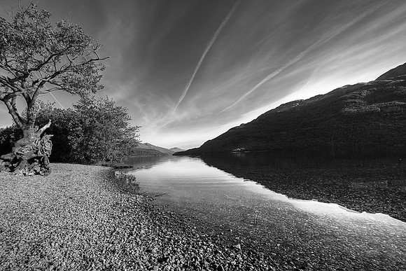 LOCH LOMOND MONO HDR MSP0002546