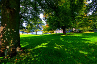 LYME PARK HDR MSP0001997