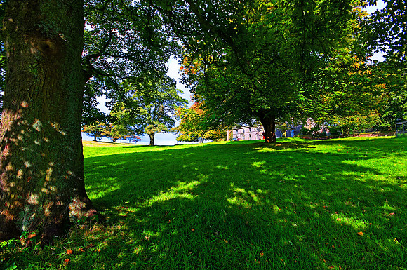 LYME PARK HDR MSP0001997