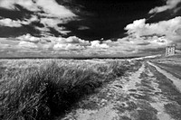 LYME PARK CAGE MONO HDR MSP0000912