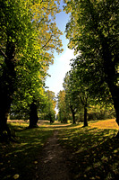 THE GREEN MILE HDR MSP0000915