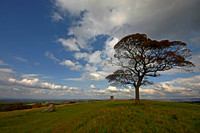 LYME PARK CHESHIRE PLAINS HDR MSP0000908