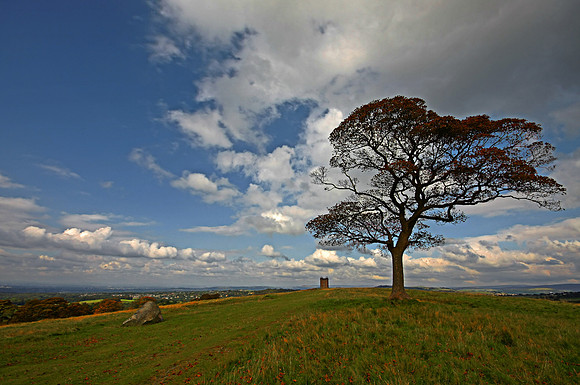 LYME PARK CHESHIRE PLAINS HDR MSP0000908