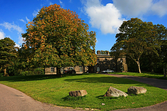 LYME PARK MSP0000916