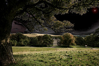 LYME PARK MSP0000917