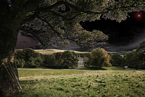 LYME PARK MSP0000917