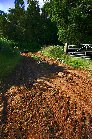 THROUGH THE FARM GATE MSP0000148