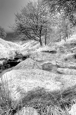 DOVESTONES VALLEY MONO HDR MSP0003957