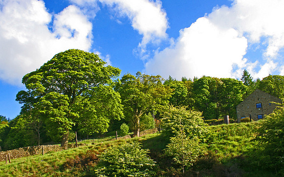 THE HOUSE ON THE HILL MSP0000701