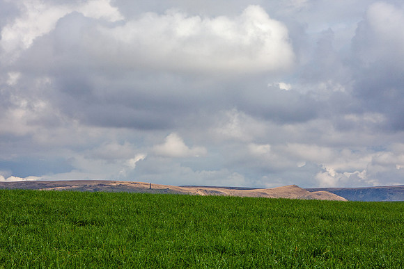 PENNINE HILLS MSP0006697