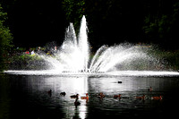SAINT JAMES PARK MSP0003600