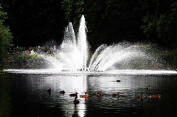 SAINT JAMES PARK MSP0003600