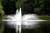 SAINT JAMES PARK MSP0003608