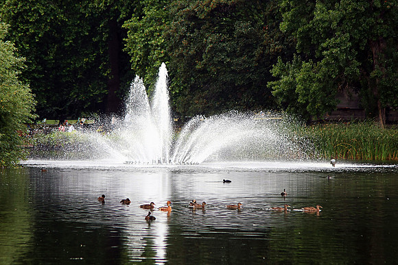 SAINT JAMES PARK MSP0003608