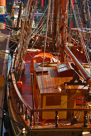 ZEBU LIVERPOOL ALBERT DOCKS MSP0000316