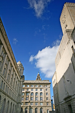 THE THREE GRACES OF LIVERPOOL MSP0000251