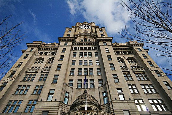 LIVER BUILDING MSP0000276