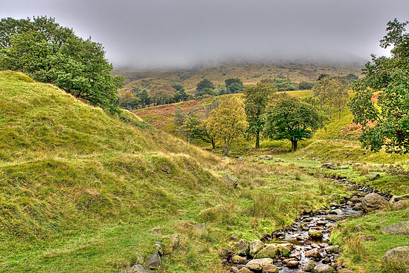 DOVESTONES HDR MSP0003972