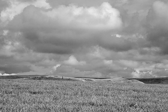 PENNINE HILLS MSP0006698