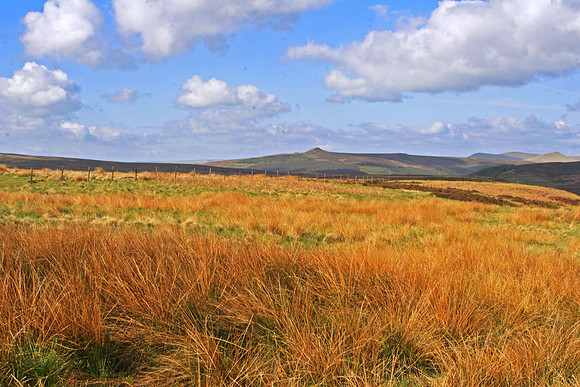 THE PEAK DISTRICT #1MSP0000015