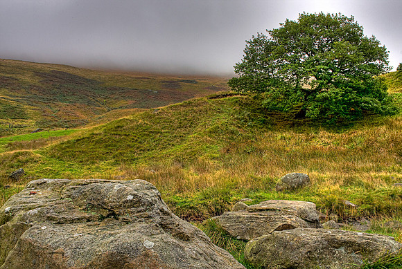 DOVESTONES HDR MSP0003976
