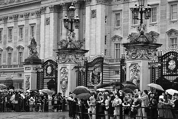 BUCKINGHAM PALACE MONO MSP0003615