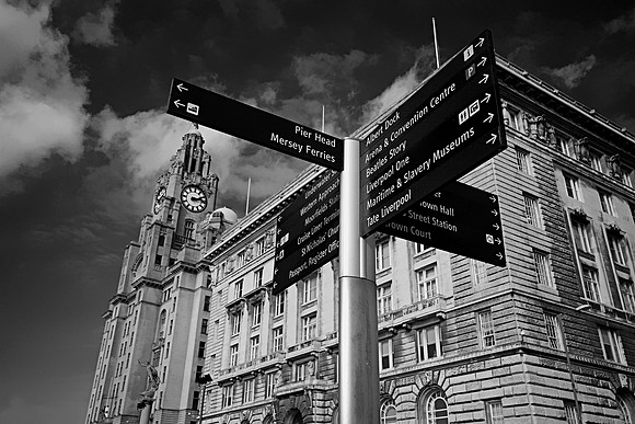 THE LIVER BUILDING MONO MSP0001993