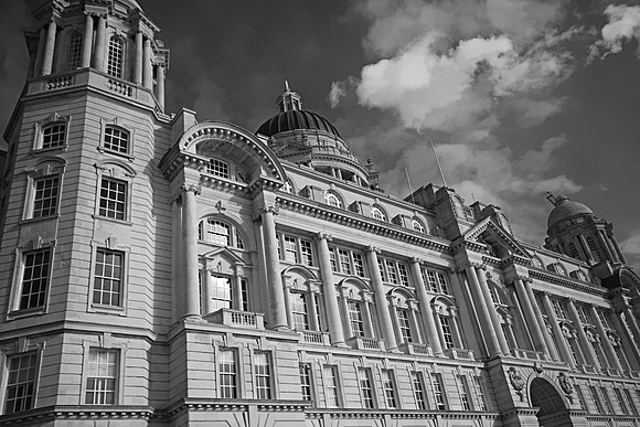 THE LIVER BUILDING MONO MSP0001991