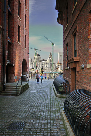 LIVERPOOL MSP0000255