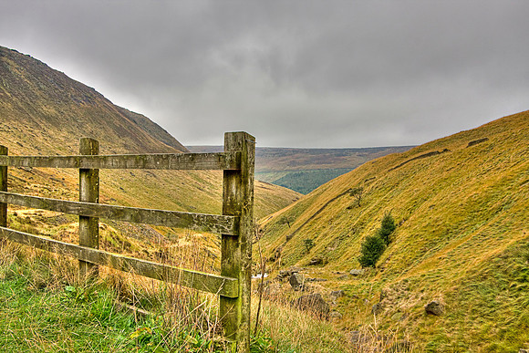 DOVESTONES HDR MSP0003974