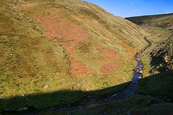THE SNAKE PASS MSP0000156