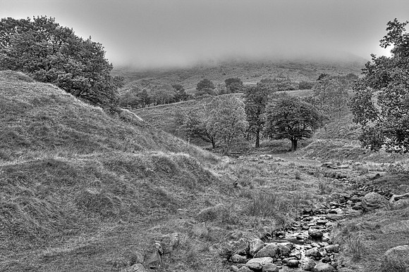 DOVESTONES MONO  HDR MSP0003971