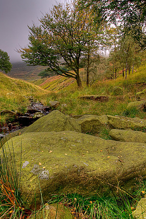 DOVESTONES VALLEY HDR MSP0003958