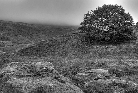 DOVESTONES MONO HDR MSP0003975