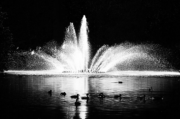 SAINT JAMES PARK MONO MSP0003601