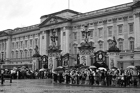 BUCKINGHAM PALACE MONO MSP0003613